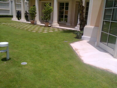 صورة0341